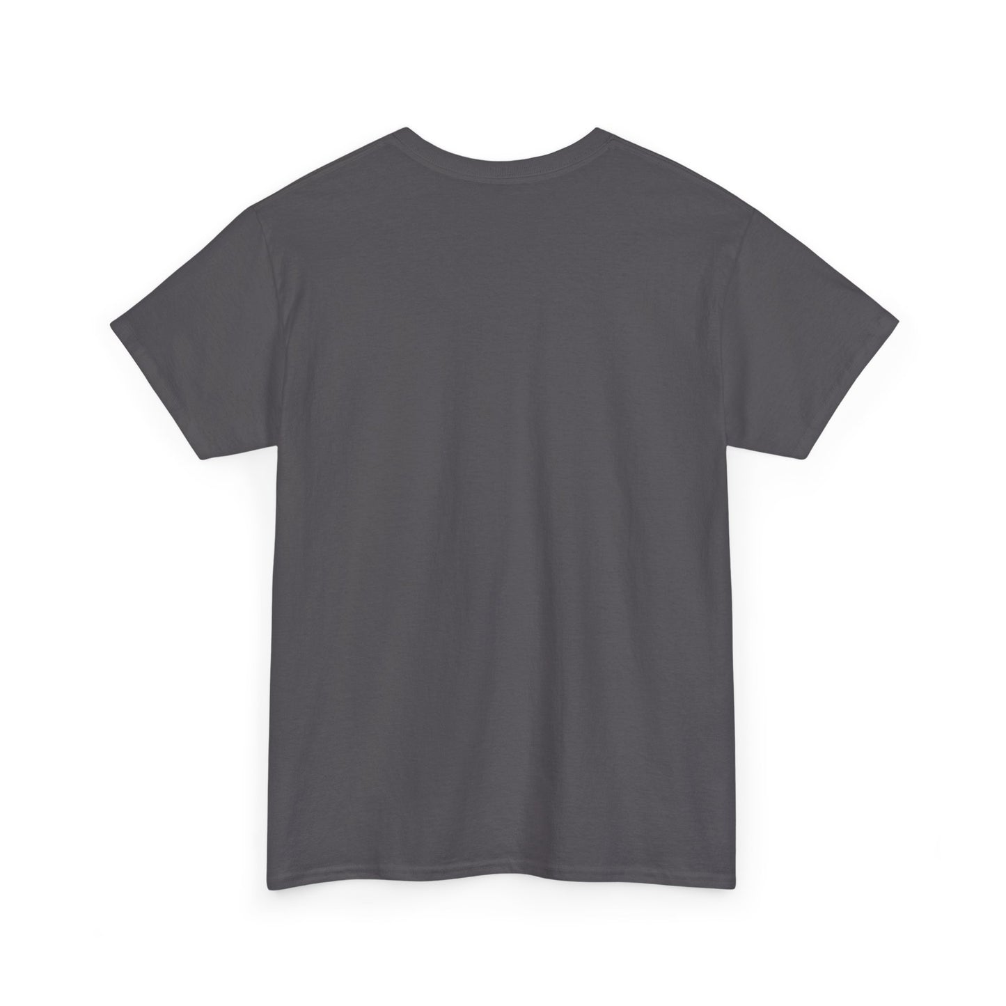 Paul Bible T-Shirt — Scripture Humor Tee
