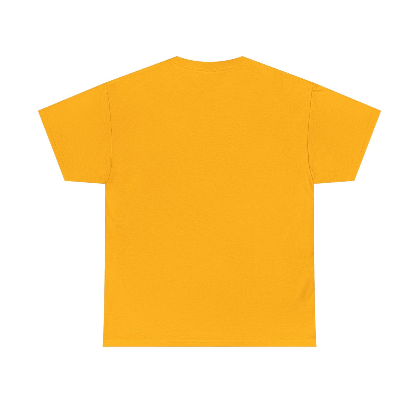 Paul Bible T-Shirt — Scripture Humor Tee