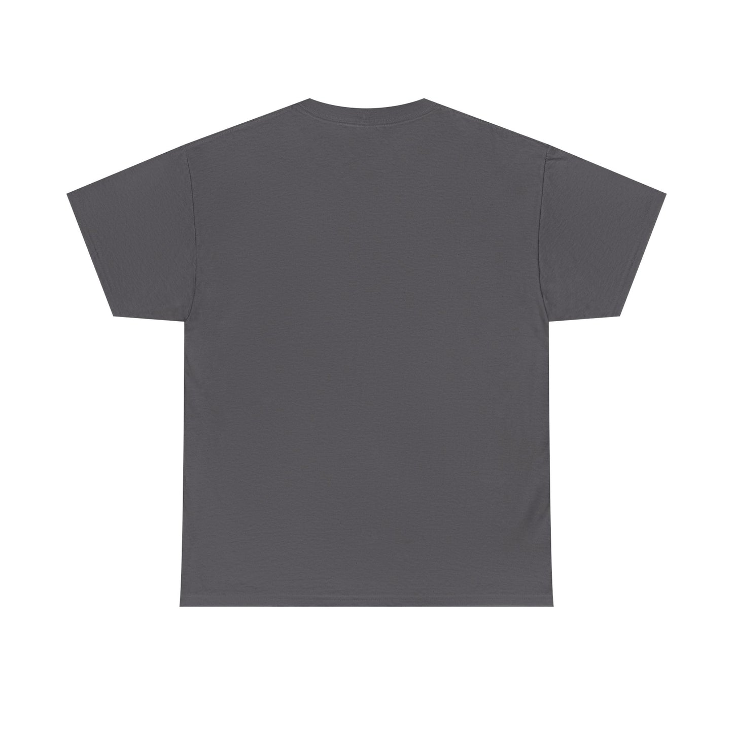 Paul Bible T-Shirt — Scripture Humor Tee