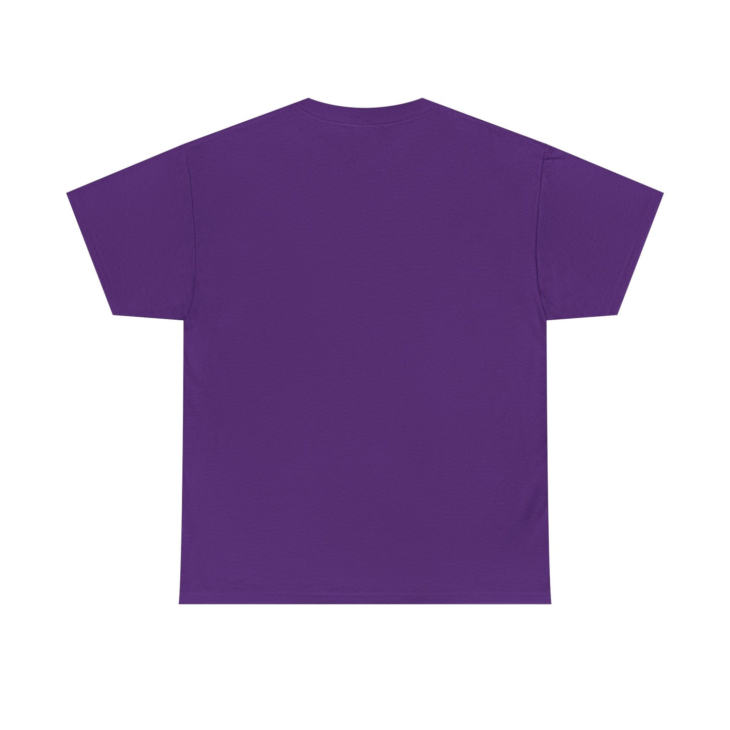 Paul Bible T-Shirt — Scripture Humor Tee